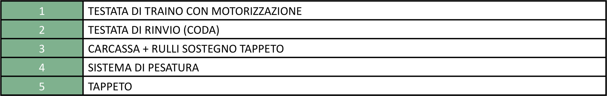 Nastro estrattore pesatore NEP a